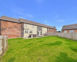 Barn Owl, Wintersett, Wakefield